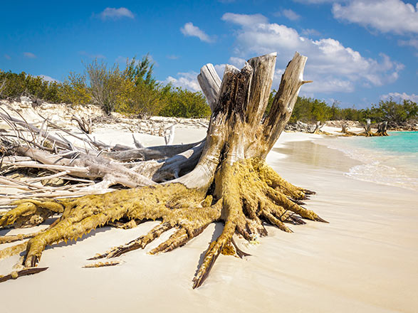 Croisière Cayo Rico